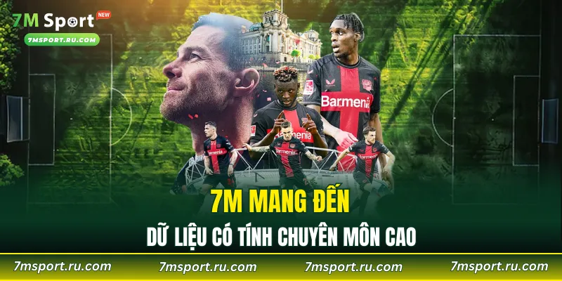 7M mang đến những dữ liệu có tính chuyên môn cao