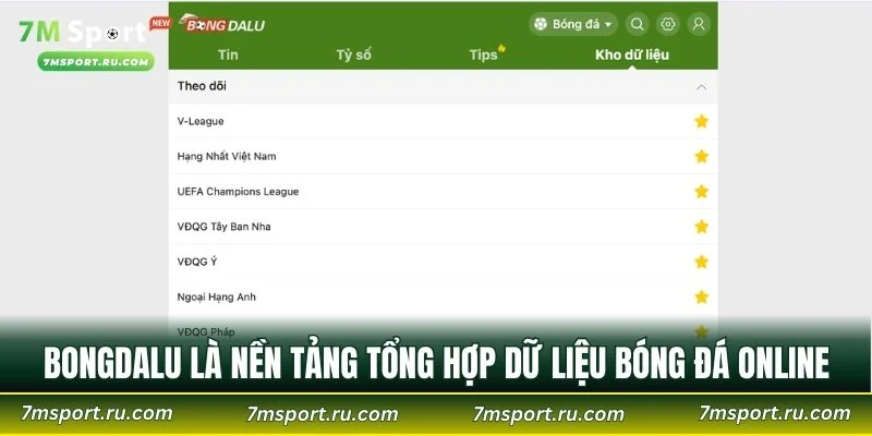 Bongdalu là nền tảng tổng hợp dữ liệu bóng đá online