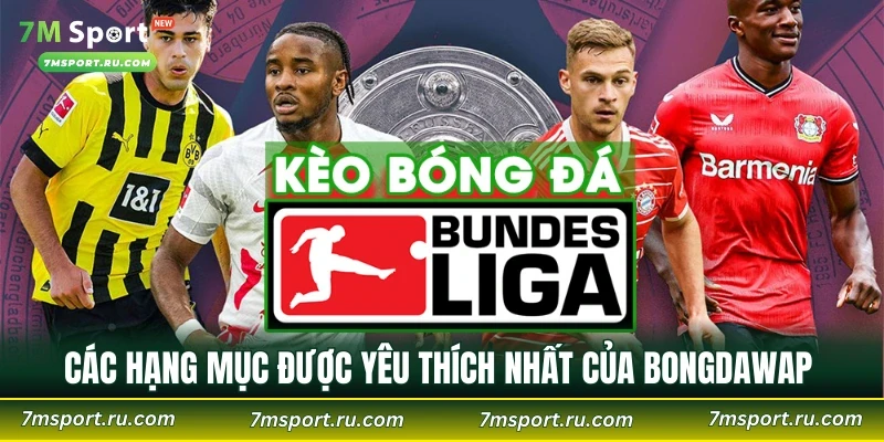 Các hạng mục được yêu thích nhất của Bongdawap 