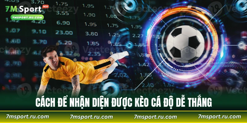 Cách để nhận diện được kèo cá độ dễ thắng