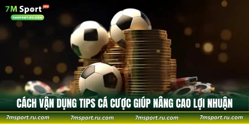 Cách vận dụng tips cá cược hợp lý giúp nâng cao lợi nhuận