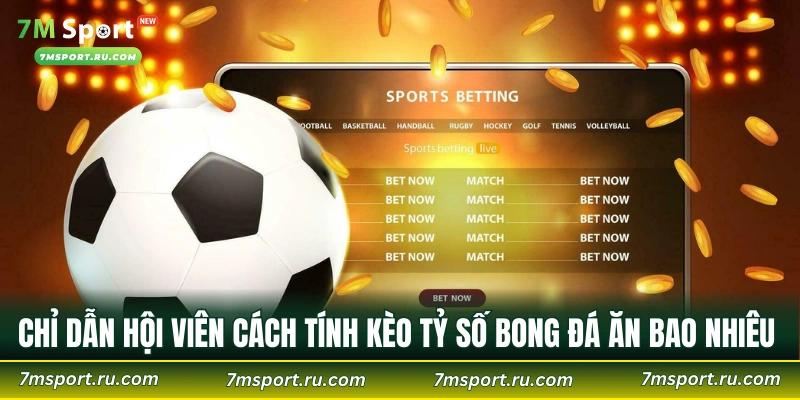 Chỉ dẫn hội viên cách tính kèo tỷ số bong đá ăn bao nhiêu 