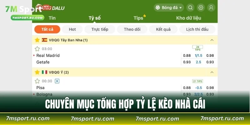 Chuyên mục tổng hợp tỷ lệ kèo nhà cái