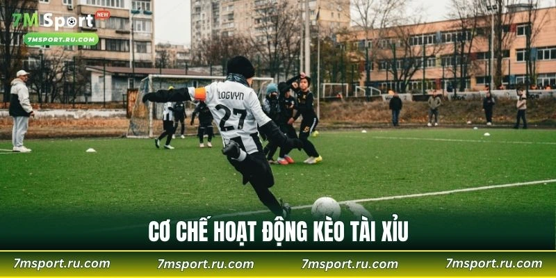 Cơ chế hoạt động kèo tài xỉu