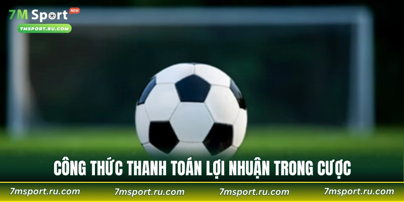 Công thức thanh toán lợi nhuận trong cược