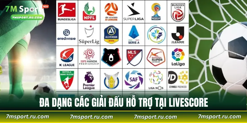 Đa dạng các giải đấu hỗ trợ tại Livescore