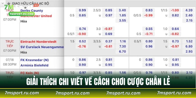 Giải thích chi viết về cách chơi cược chẵn lẻ
