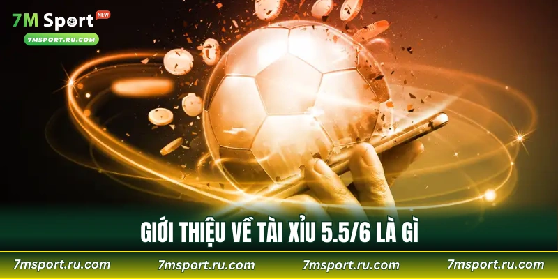 Giới thiệu về tài xỉu 5.5/6 là gì