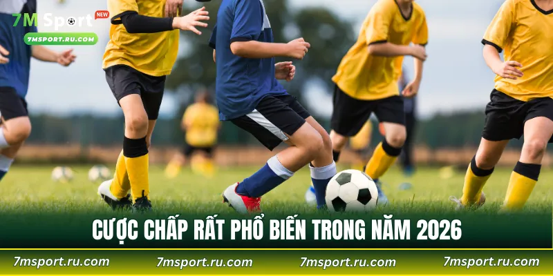 Hiểu rõ kèo Handicap là gì cũng giúp bạn tăng tỷ lệ thắng