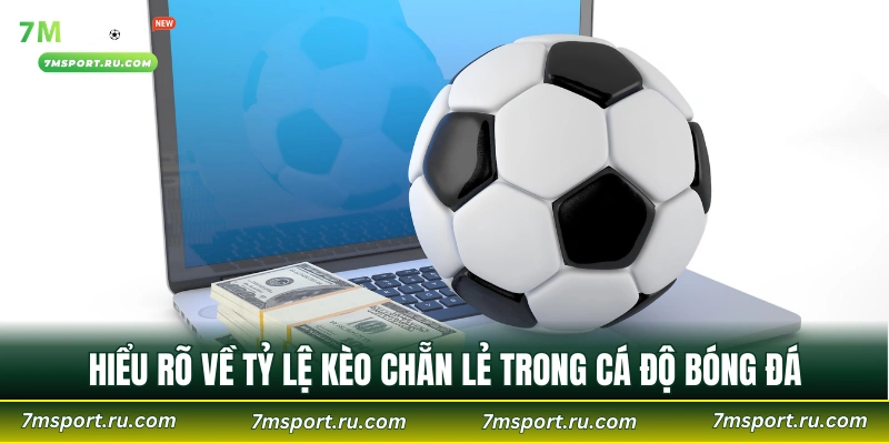 Hiểu rõ về tỷ lệ kèo chẵn lẻ trong cá độ bóng đá