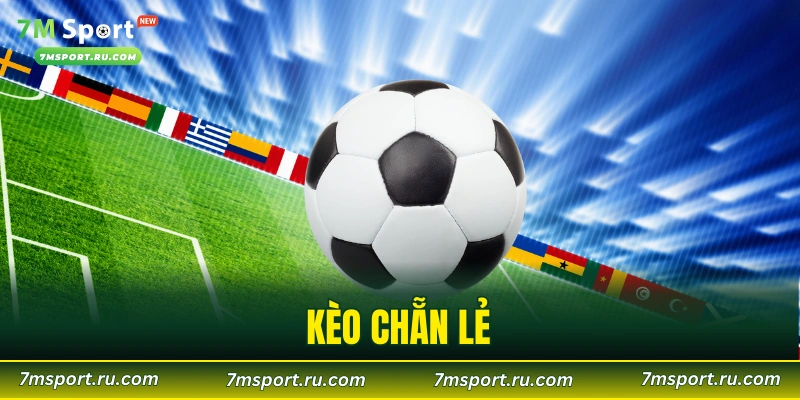 Kèo Chẵn Lẻ Là Gì? Cách Đọc Cơ Bản Dành Cho Newbie