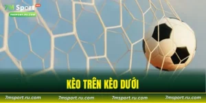 kèo trên kèo dưới