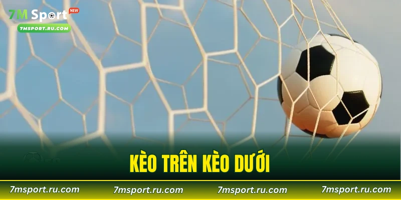 Kèo Trên Kèo Dưới – Hướng Dẫn Cách Đọc Kèo Chuẩn