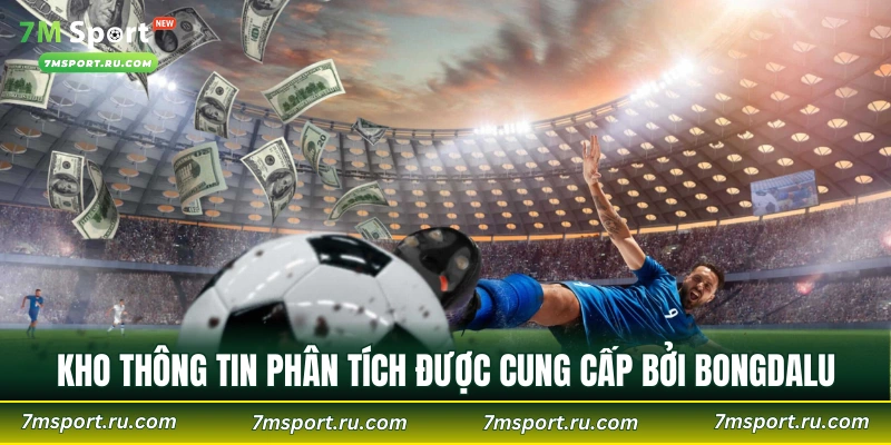 Kho thông tin phân tích được cung cấp bởi Bongdalu