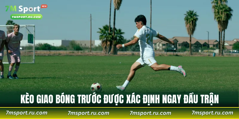 Không nên tham gia khi chưa có kế hoạch cá cược 