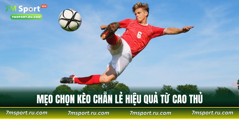 Mẹo chọn kèo chẵn lẻ hiệu quả từ cao thủ