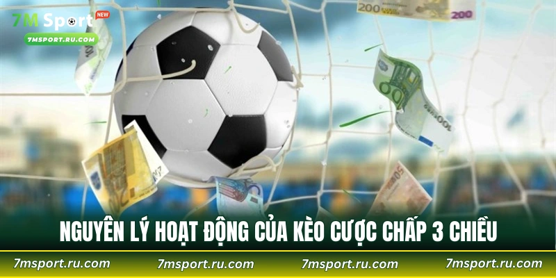 Nguyên lý hoạt động của kèo cược chấp 3 chiều