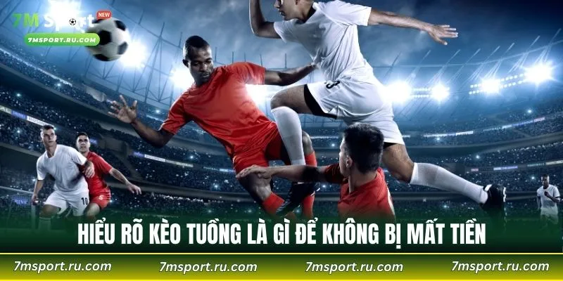 Những lưu ý này giúp bạn đưa ra lựa chọn phù hợp