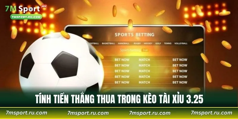Tính tiền thắng thua trong kèo Tài Xỉu 3.25