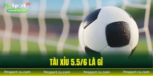 tài xỉu 5.5/6 là gì.