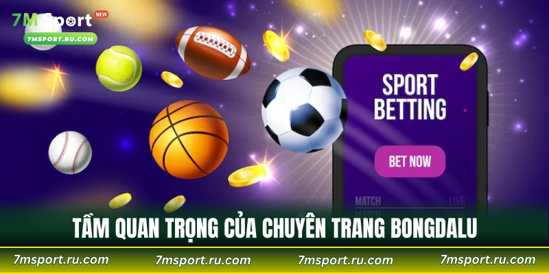 Tầm quan trọng của chuyên trang Bongdalu