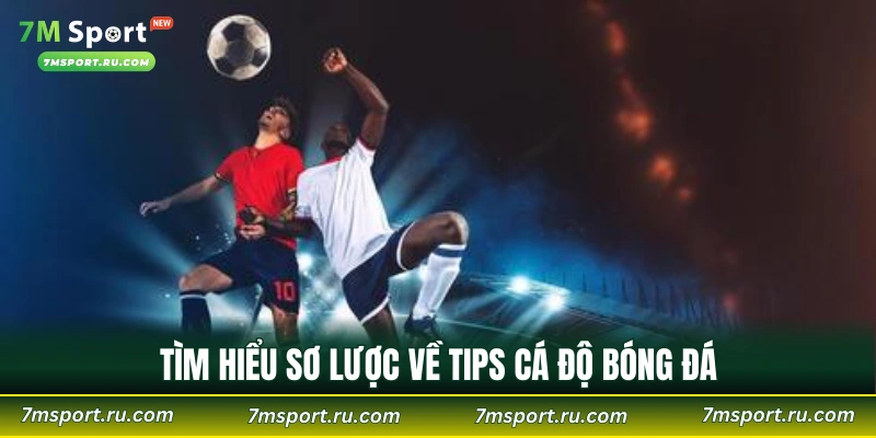 Tìm hiểu sơ lược về tips cá độ bóng đá