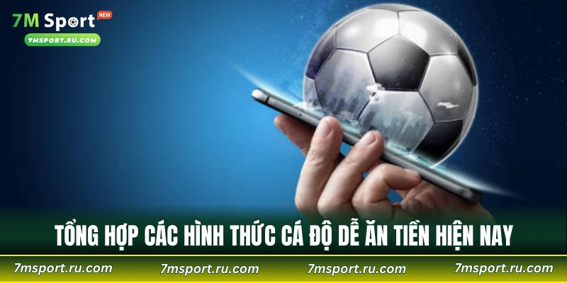 Tổng hợp các hình thức cá độ dễ ăn tiền hiện nay