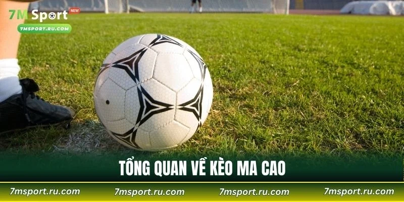 Tổng quan về kèo ma cao