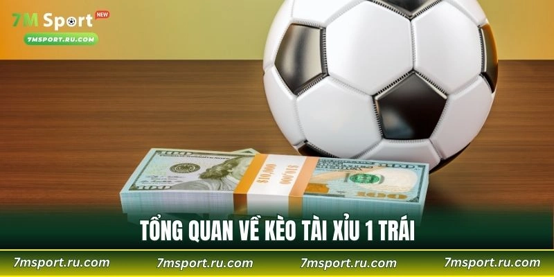 Tổng quan về kèo tài xỉu 1 trái
