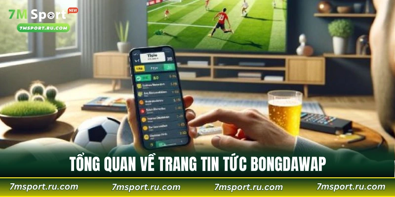 Tổng quan về trang tin tức Bongdawap