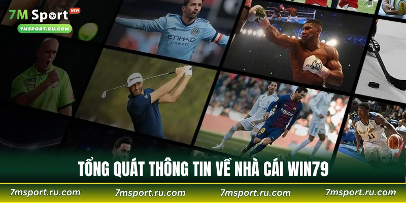 Tổng quát thông tin về nhà cái WIN79