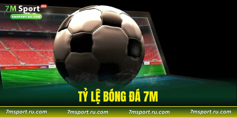 Tỷ Lệ Bóng Đá 7M – Cập Nhật Nội Dung Chi Tiết Nhất 2026