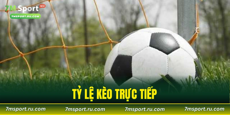 Tỷ Lệ Kèo Trực Tiếp – Bật Mí 3 Mẹo Cực Hay Từ Các Cao Thủ