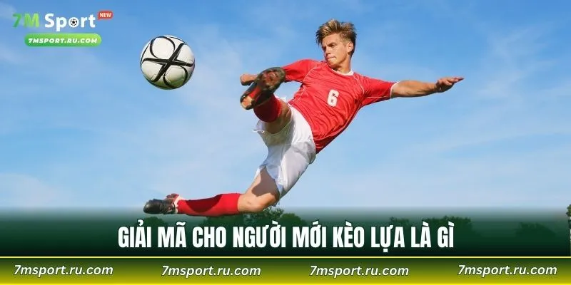 Giải mã cho người mới kèo lựa là gì